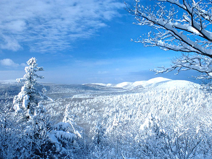 Donations sought for rescue gear for remote Porcupine Park News